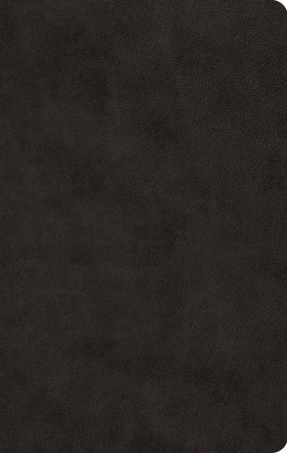 Produktbild: ESV Large Print Value Thinline Bible