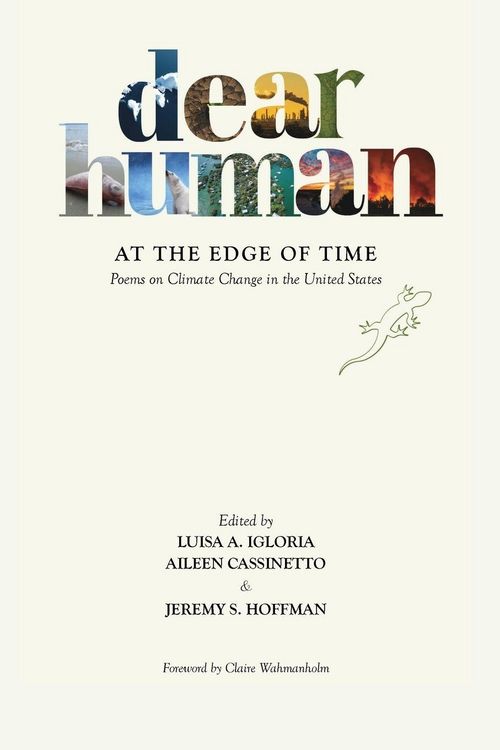 Produktbild: Dear Human at the Edge of Time