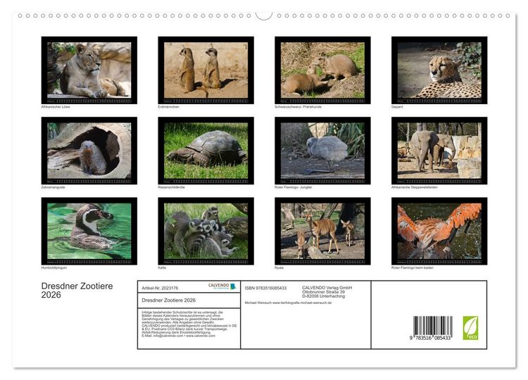 Produktbild: Dresdner Zootiere 2026 (hochwertiger Premium Wandkalender 2026 DIN A2 quer), Kunstdruck in Hochglanz