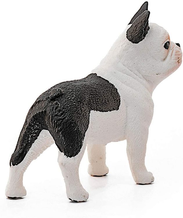 Produktbild: schleich&reg; 13877 - Farm World, Franz&ouml;sische Bulldogge, Tierfigur, Hund