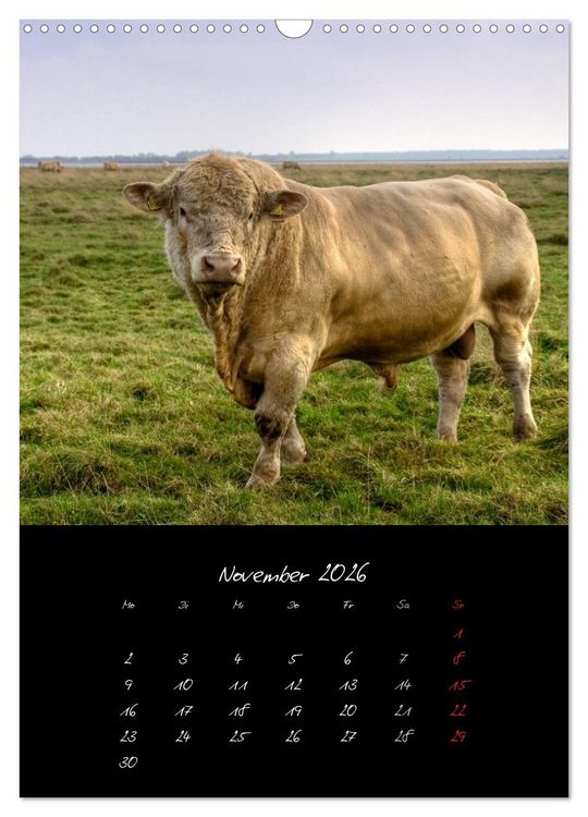 Produktbild: Tiere (Wandkalender 2026 DIN A3 hoch), CALVENDO Monatskalender