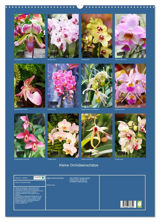 Produktbild: Kleine Orchideensch&auml;tze (Wandkalender 2026 DIN A2 hoch), CALVENDO Monatskalender