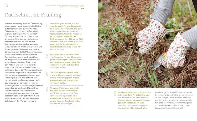 Produktbild: Biogarten im Handumdrehen