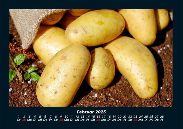 Produktbild: Gem&uuml;sekalender 2025 Fotokalender DIN A4