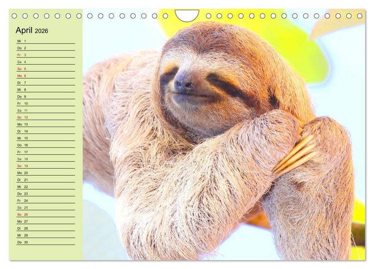 Produktbild: Der Faultier-Planer f&uuml;r mehr Ruhe und Gem&uuml;tlichkeit! (Wandkalender 2026 DIN A4 quer), CALVENDO Monatskalender