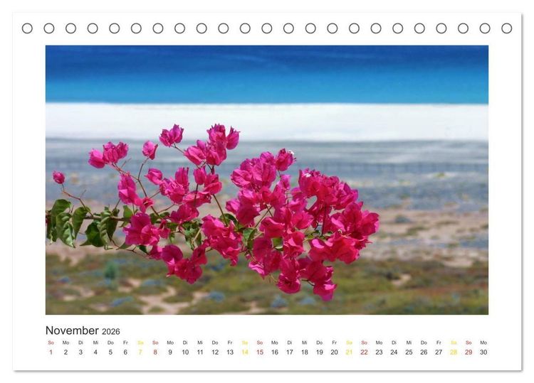 Produktbild: Fuerteventura (Tischkalender 2026 DIN A5 quer), CALVENDO Monatskalender