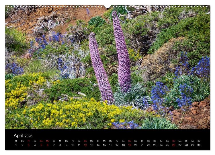 Produktbild: Naturblicke - La Palma (Wandkalender 2026 DIN A2 quer), CALVENDO Monatskalender