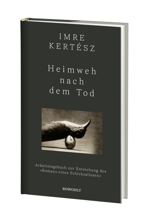 Produktbild: Heimweh nach dem Tod