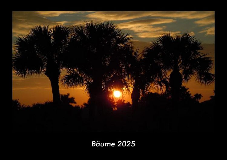 Produktbild: B&auml;ume 2025 Fotokalender DIN A3