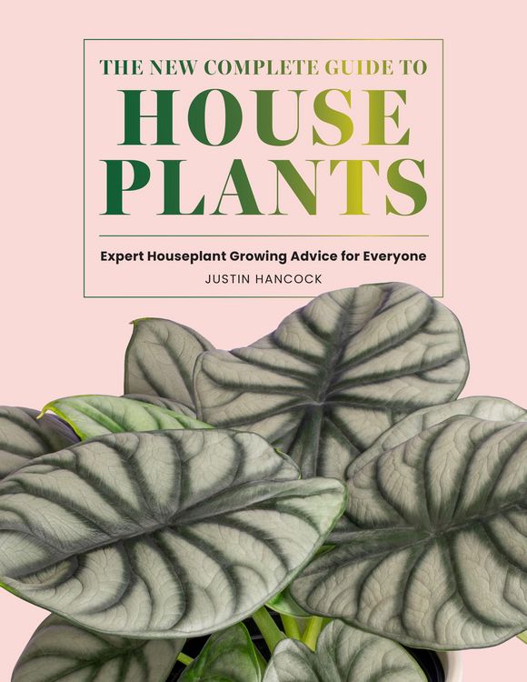 Produktbild: The New Complete Guide to Houseplants