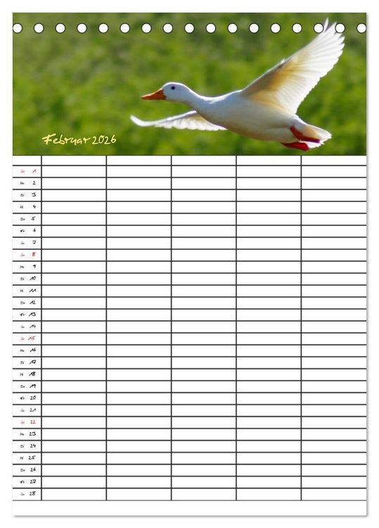 Produktbild: Bauernhoftiere Familienplaner (Tischkalender 2026 DIN A5 hoch), CALVENDO Monatskalender