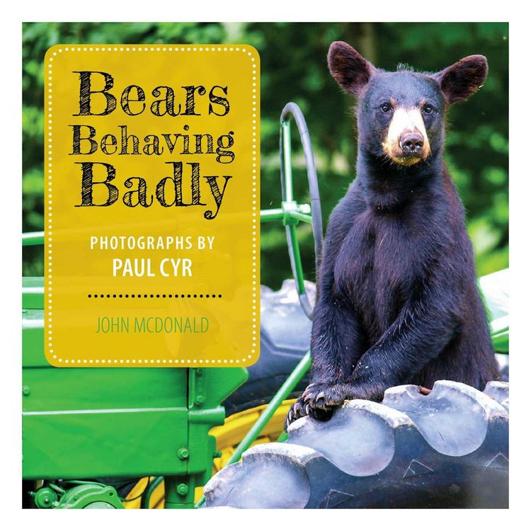 Produktbild: Bears Behaving Badly