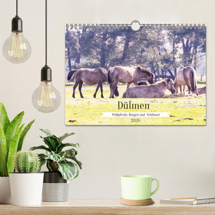 Produktbild: D&uuml;lmen - Wildpferde, Burgen und Schl&ouml;sser (Wandkalender 2026 DIN A4 quer), CALVENDO Monatskalender