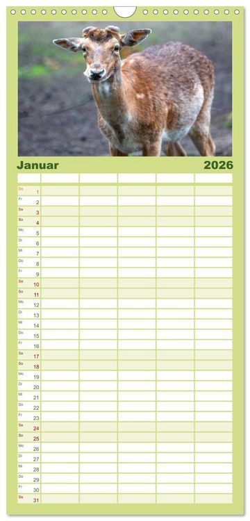 Produktbild: Familienplaner 2026 - Heimische Tiere - Rehe mit 5 Spalten (Wandkalender, 21 x 45 cm) CALVENDO