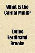 Produktbild: What Is the Carnal Mind?