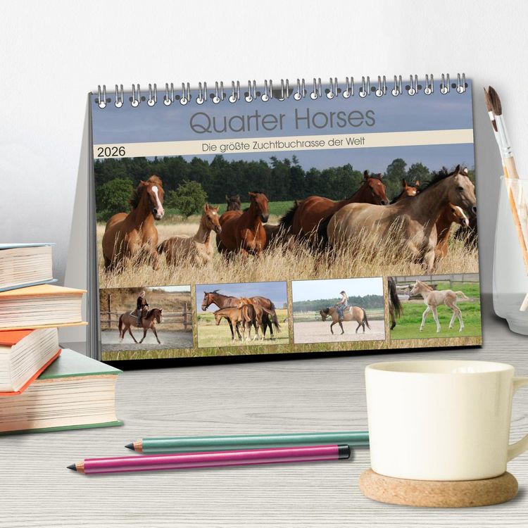 Produktbild: Quarter Horses - Die gr&ouml;&szlig;te Zuchtbuchrasse der Welt (Tischkalender 2026 DIN A5 quer), CALVENDO Monatskalender