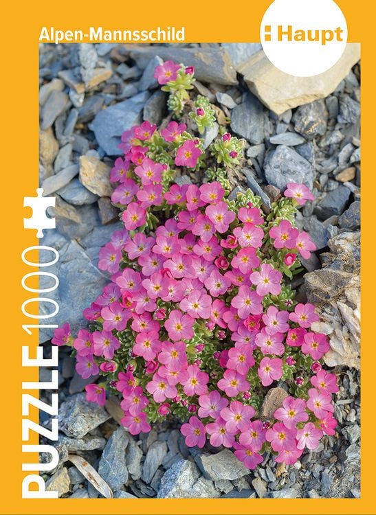 Produktbild: Alpen-Mannsschild &ndash; Puzzle