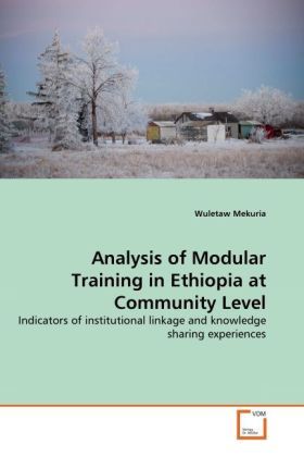 Produktbild: Mekuria, W: Analysis of  Modular Training in Ethiopia at Com