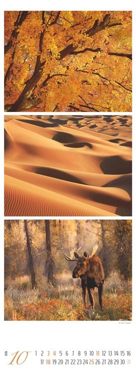 Produktbild: Colours of Nature - Triplets 2026 - Streifenkalender XXL 25x69 cm - Bildkalender im Hochformat - Naturkalender - Wandkalender - Wandplaner