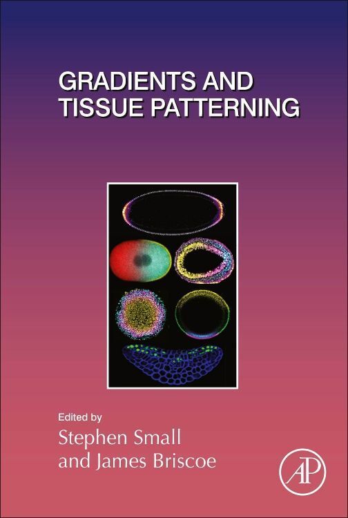 Produktbild: Gradients and Tissue Patterning