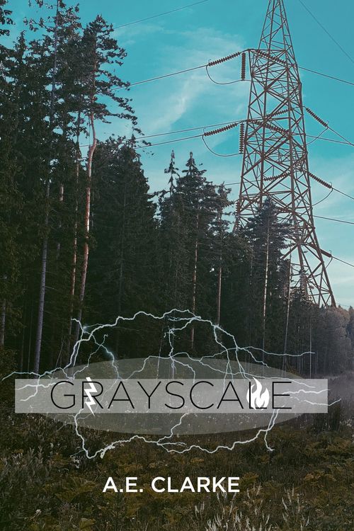 Produktbild: Grayscale