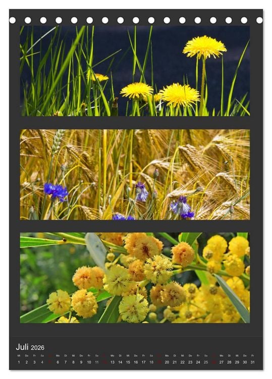 Produktbild: Naturfarben entdecken (Tischkalender 2026 DIN A5 hoch), CALVENDO Monatskalender