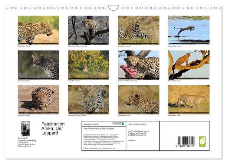 Produktbild: Faszination Afrika: Der Leopard (Wandkalender 2026 DIN A3 quer), CALVENDO Monatskalender