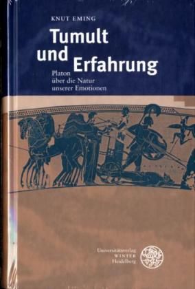 Produktbild: Eming, K: Tumult und Erfahrung