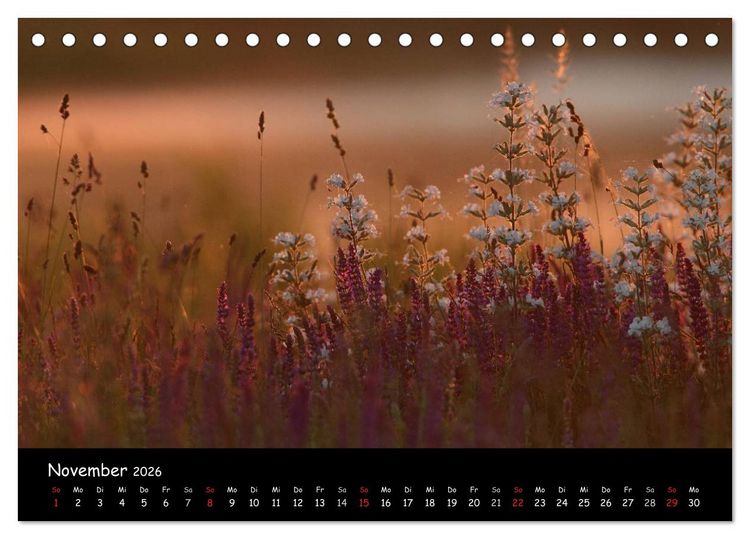 Produktbild: Naturjuwelen - Neusiedler See (Tischkalender 2026 DIN A5 quer), CALVENDO Monatskalender