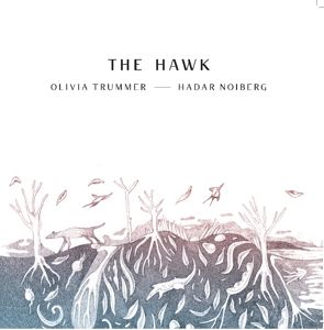 Produktbild: The Hawk