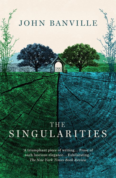 Produktbild: The Singularities