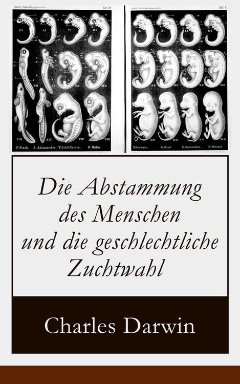 Produktbild: Die Abstammung des Menschen und die geschlechtliche Zuchtwahl