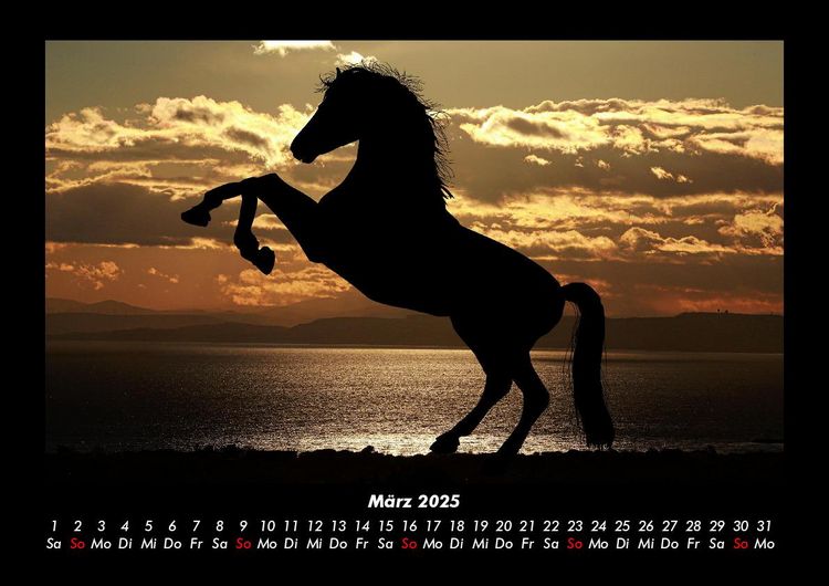 Produktbild: Pferde Kalender 2025 Fotokalender DIN A3