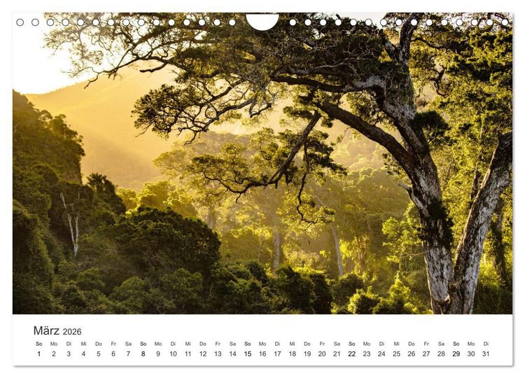 Produktbild: Bezauberndes S&uuml;dafrika (Wandkalender 2026 DIN A4 quer), CALVENDO Monatskalender