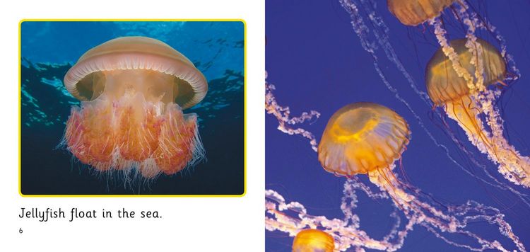 Produktbild: In the Sea