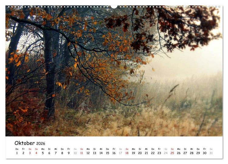 Produktbild: Unterwegs im Teufelsmoor (hochwertiger Premium Wandkalender 2026 DIN A2 quer), Kunstdruck in Hochglanz