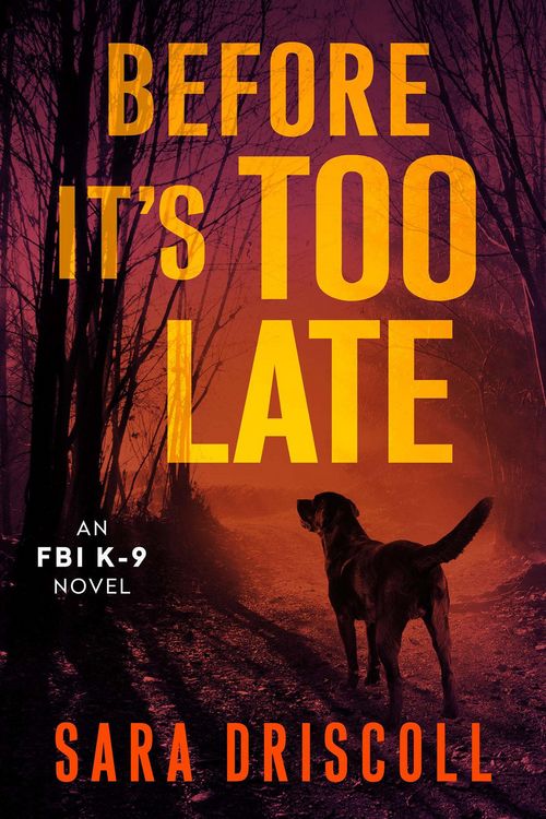 Produktbild: Before It's Too Late