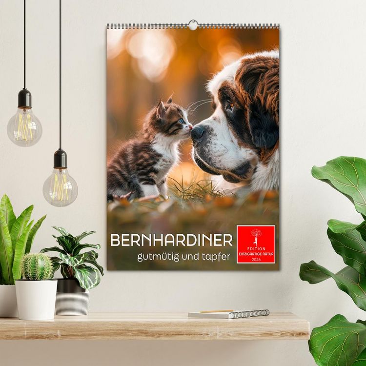 Produktbild: Bernhardiner - gutm&uuml;tig und tapfer (Wandkalender 2026 DIN A2 hoch), CALVENDO Monatskalender