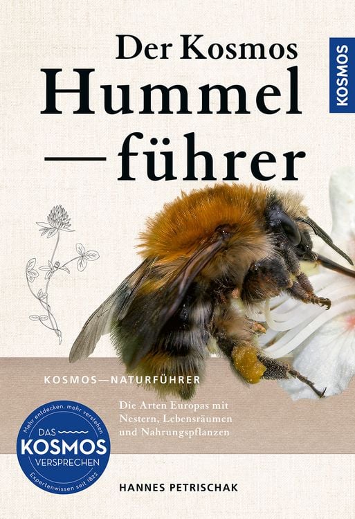 Produktbild: Der KOSMOS Hummelf&uuml;hrer