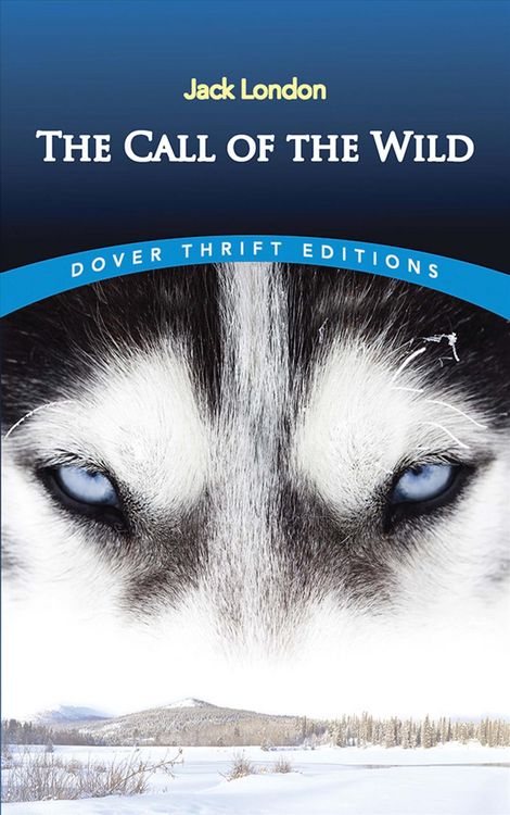 Produktbild: The Call of the Wild