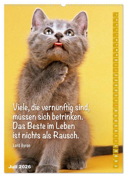 Produktbild: Der literarische Katerkalender (hochwertiger Premium Wandkalender 2026 DIN A2 hoch), Kunstdruck in Hochglanz