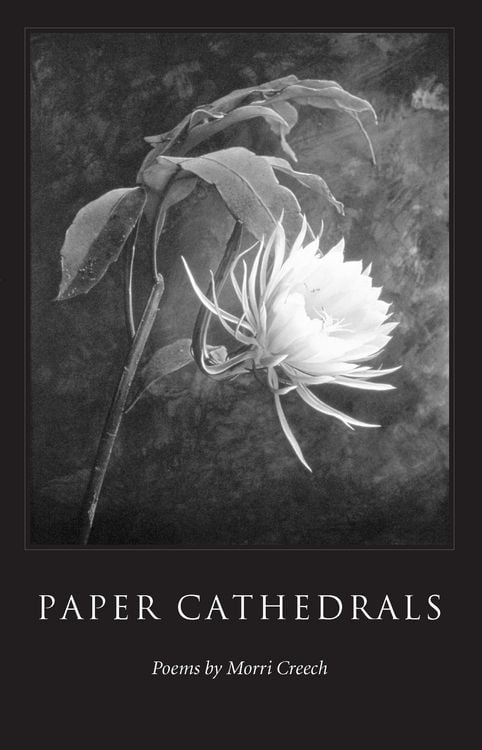 Produktbild: Paper Cathedrals