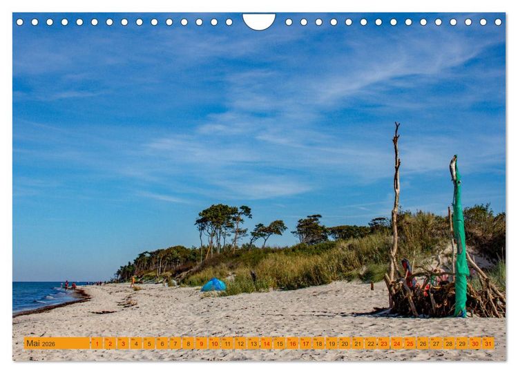 Produktbild: Wilder Dar&szlig;er Weststrand (Wandkalender 2026 DIN A4 quer), CALVENDO Monatskalender