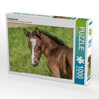 Produktbild: CALVENDO Puzzle Fohlenportrait | 1000 Teile Lege-Gr&ouml;&szlig;e 64x48cm Foto-Puzzle f&uuml;r gl&uuml;ckliche Stunden