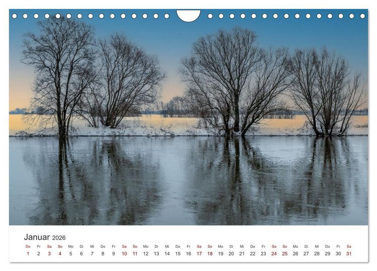 Produktbild: B&auml;ume - Gelebtes Leben (Wandkalender 2026 DIN A4 quer), CALVENDO Monatskalender