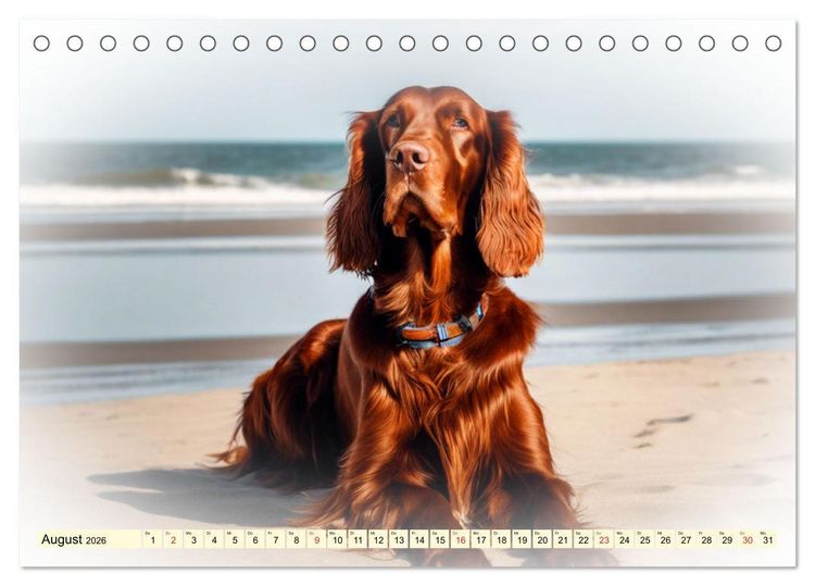 Produktbild: Rasseportraits - Hunde (Tischkalender 2026 DIN A5 quer), CALVENDO Monatskalender