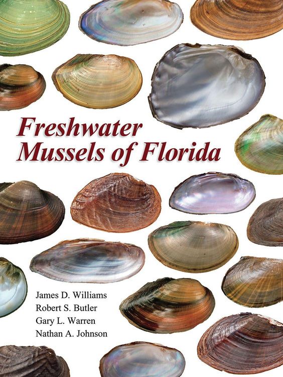 Produktbild: Freshwater Mussels of Florida
