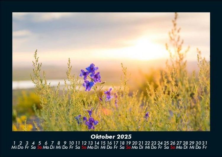 Produktbild: Blumenkalender 2025 Fotokalender DIN A5