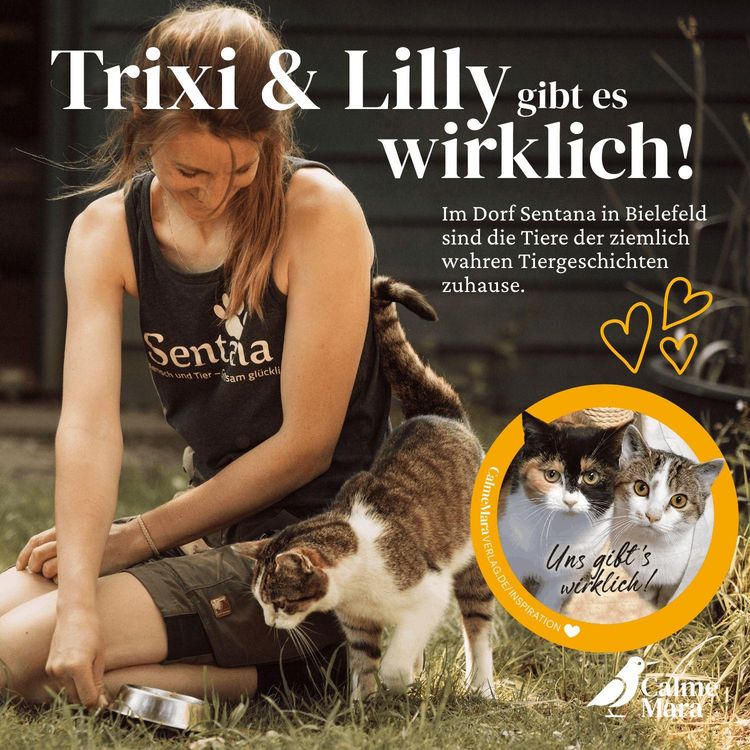 Produktbild: Trixi, Lilly und der Waschb&auml;r