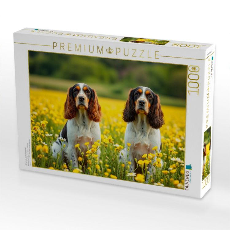 Produktbild: CALVENDO Puzzle American Cocker Spaniel | 1000 Teile Lege-Gr&ouml;&szlig;e 64x48cm Foto-Puzzle f&uuml;r gl&uuml;ckliche Stunden